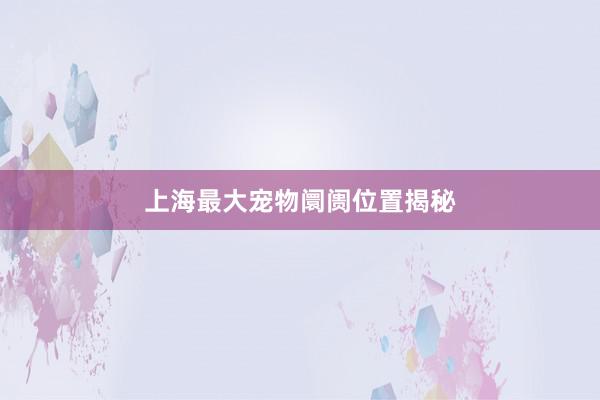 上海最大宠物阛阓位置揭秘