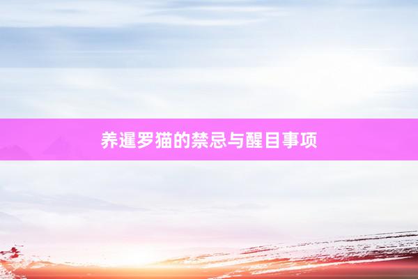 养暹罗猫的禁忌与醒目事项