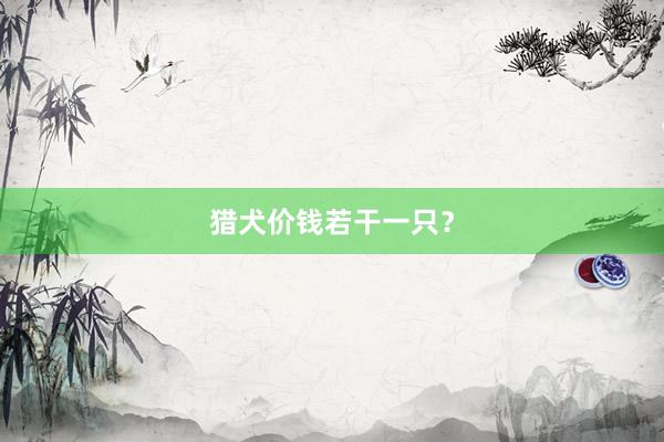 猎犬价钱若干一只？