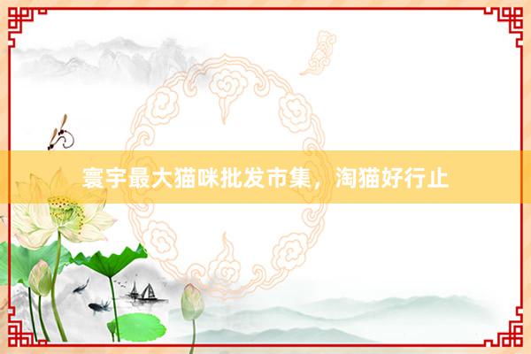 寰宇最大猫咪批发市集,淘猫好行止