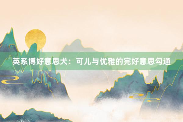 英系博好意思犬：可儿与优雅的完好意思勾通